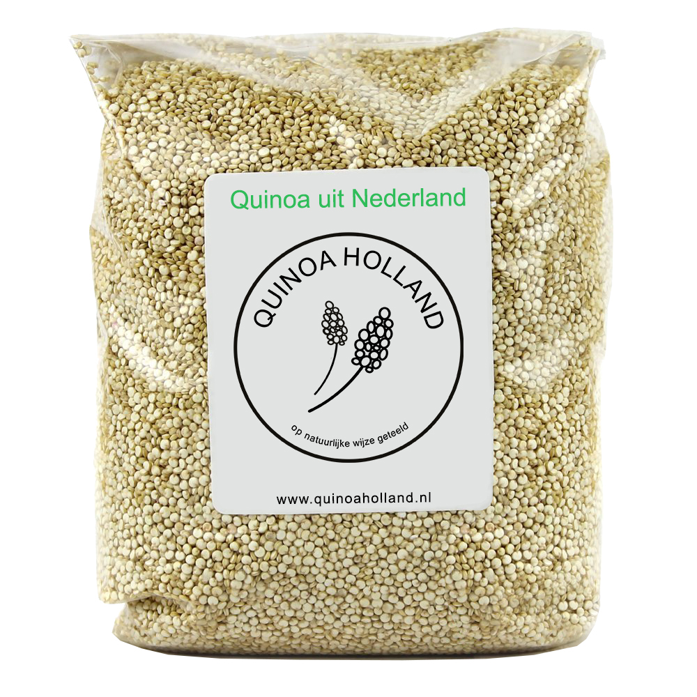 quinoa holland productfoto